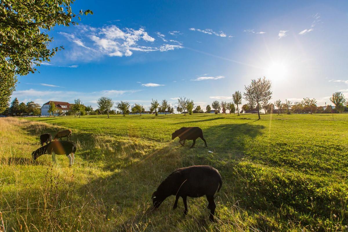 Ferienwohnung Moin Neddesitz Exteriör bild